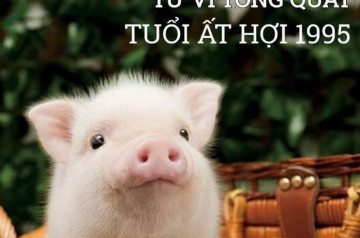 Tử vi trọn đời Ất Hợi: Hé lộ số mệnh giàu sang, tình duyên và vận hạn cuộc đời Tử vi trọn đời Ất Hợi: Hé lộ số mệnh giàu sang, tình duyên và vận hạn cuộc đời