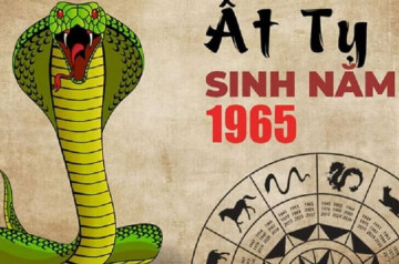 Tử vi trọn đời Ất Tỵ – Khám phá con đường sự nghiệp, vận hạn qua từng thời kỳ Tử vi trọn đời Ất Tỵ – Khám phá con đường sự nghiệp, vận hạn qua từng thời kỳ