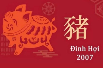Tử vi trọn đời tuổi Đinh Hợi: Vận mệnh an nhàn hay thử thách? Tử vi trọn đời tuổi Đinh Hợi: Vận mệnh an nhàn hay thử thách?