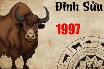 Tử vi trọn đời Đinh Sửu: Bức tranh toàn diện về cuộc đời, sức khỏe và tình duyên Tử vi trọn đời Đinh Sửu: Bức tranh toàn diện về cuộc đời, sức khỏe và tình duyên