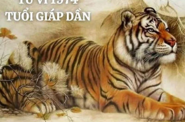 Tử vi trọn đời Giáp Dần: Khám phá con đường tình duyên, sự nghiệp viên mãn Tử vi trọn đời Giáp Dần: Khám phá con đường tình duyên, sự nghiệp viên mãn