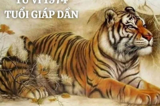 Tử vi trọn đời Giáp Dần: Khám phá con đường tình duyên, sự nghiệp viên mãn Tử vi trọn đời Giáp Dần: Khám phá con đường tình duyên, sự nghiệp viên mãn