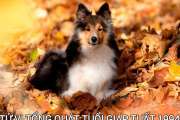 Giải mã tử vi trọn đời Kỷ Sửu: Công danh, gia đạo và hạnh phúc viên mãn Giải mã tử vi trọn đời Kỷ Sửu: Công danh, gia đạo và hạnh phúc viên mãn