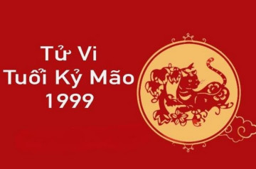 Tử vi trọn đời Kỷ Mão: Hé lộ vận mệnh, tài lộc và hạnh phúc cuộc đời Tử vi trọn đời Kỷ Mão: Hé lộ vận mệnh, tài lộc và hạnh phúc cuộc đời