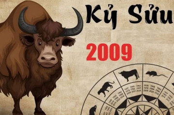 Giải mã tử vi trọn đời Kỷ Sửu: Công danh, gia đạo và hạnh phúc viên mãn Giải mã tử vi trọn đời Kỷ Sửu: Công danh, gia đạo và hạnh phúc viên mãn