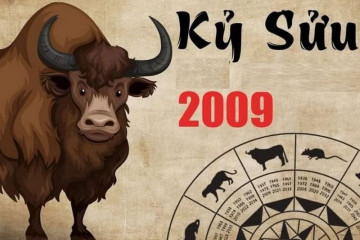 Tử vi trọn đời Đinh Sửu: Bức tranh toàn diện về cuộc đời, sức khỏe và tình duyên Tử vi trọn đời Đinh Sửu: Bức tranh toàn diện về cuộc đời, sức khỏe và tình duyên