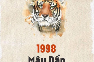 Tử vi trọn đời Tân Tỵ 2001 – Hành trình công danh, sự nghiệp và vận hạn tuổi trẻ Tử vi trọn đời Tân Tỵ 2001 – Hành trình công danh, sự nghiệp và vận hạn tuổi trẻ