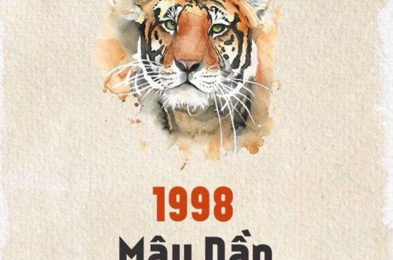 Tử vi trọn đời Mậu Dần: Mệnh Thành Đầu Thổ qua 4 giai đoạn cuộc sống Tử vi trọn đời Mậu Dần: Mệnh Thành Đầu Thổ qua 4 giai đoạn cuộc sống