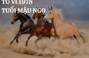 Tử vi trọn đời Mậu Ngọ – Cuộc đời tuổi Ngọ an bài ra sao theo lá số tử vi? Tử vi trọn đời Mậu Ngọ – Cuộc đời tuổi Ngọ an bài ra sao theo lá số tử vi?