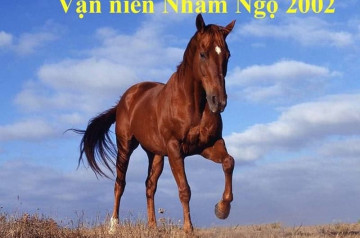 Tử vi trọn đời Nhâm Ngọ: Chìa khóa hài hòa giữa tự do cá nhân và thành đạt bền vững Tử vi trọn đời Nhâm Ngọ: Chìa khóa hài hòa giữa tự do cá nhân và thành đạt bền vững