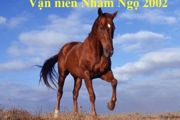 Tử vi trọn đời Canh Thìn 2000 – Bức tranh tổng quan về số mệnh, công danh và gia đạo Tử vi trọn đời Canh Thìn 2000 – Bức tranh tổng quan về số mệnh, công danh và gia đạo