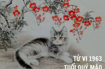 Tử vi trọn đời Quý Mão: Phong thủy, tính cách và con đường phú quý Tử vi trọn đời Quý Mão: Phong thủy, tính cách và con đường phú quý