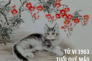 Tử vi trọn đời Canh Thìn 2000 – Bức tranh tổng quan về số mệnh, công danh và gia đạo Tử vi trọn đời Canh Thìn 2000 – Bức tranh tổng quan về số mệnh, công danh và gia đạo