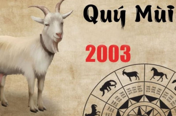 Tử vi trọn đời Quý Mùi: Sự nghiệp, tài chính, hôn nhân và vận hạn cần biết Tử vi trọn đời Quý Mùi: Sự nghiệp, tài chính, hôn nhân và vận hạn cần biết