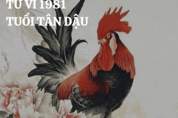 Tử vi trọn đời Tân Dậu: Lá số tử vi tiết lộ điều gì về cuộc đời bạn? Tử vi trọn đời Tân Dậu: Lá số tử vi tiết lộ điều gì về cuộc đời bạn?