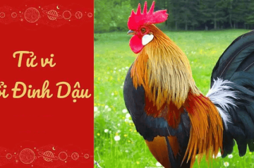 Tử vi trọn đời Đinh Dậu – Dự báo thời điểm phát tài, phát lộc theo từng giai đoạn cuộc đời Tử vi trọn đời Đinh Dậu – Dự báo thời điểm phát tài, phát lộc theo từng giai đoạn cuộc đời