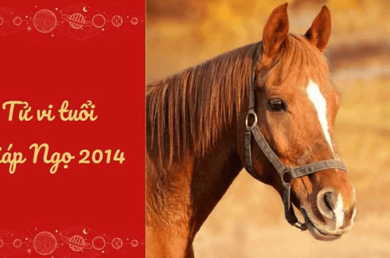 Tử vi trọn đời Giáp Ngọ 2014 – Công danh, sự nghiệp và tài lộc qua từng giai đoạn Tử vi trọn đời Giáp Ngọ 2014 – Công danh, sự nghiệp và tài lộc qua từng giai đoạn