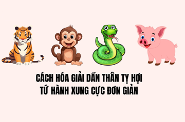 Bí mật ngũ hành ẩn sau tứ hành xung Dần Thân Tỵ Hợi – Hiểu để sống thuận mệnh Bí mật ngũ hành ẩn sau tứ hành xung Dần Thân Tỵ Hợi – Hiểu để sống thuận mệnh