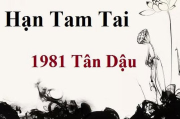 Tam tai 1981: Chu kỳ vận hạn hay cơ hội thanh lọc năng lượng cho tuổi Dậu? Tam tai 1981: Chu kỳ vận hạn hay cơ hội thanh lọc năng lượng cho tuổi Dậu?