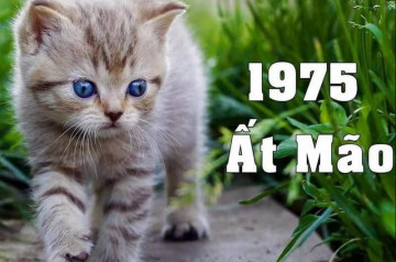Tử vi trọn đời Ất Mão 1975 – Lật mở bí ẩn cuộc đời qua từng năm tháng Tử vi trọn đời Ất Mão 1975 – Lật mở bí ẩn cuộc đời qua từng năm tháng