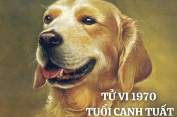 Tử vi trọn đời Canh Tuất: Toàn cảnh mệnh số cho quyết định sáng suốt Tử vi trọn đời Canh Tuất: Toàn cảnh mệnh số cho quyết định sáng suốt