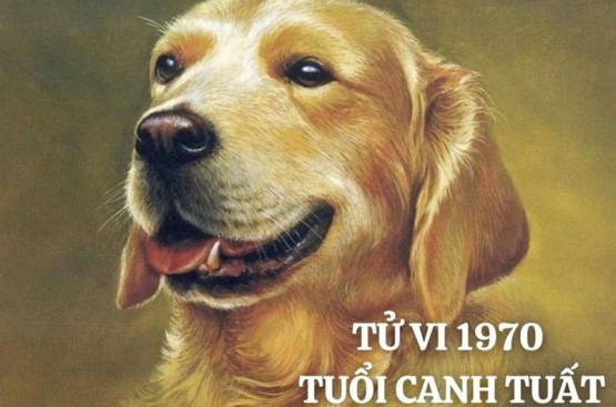 Tử vi trọn đời Canh Tuất: Toàn cảnh mệnh số cho quyết định sáng suốt Tử vi trọn đời Canh Tuất: Toàn cảnh mệnh số cho quyết định sáng suốt
