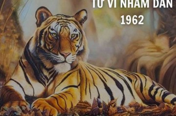 Tử vi trọn đời Nhâm Dần: Hé lộ vận mệnh, công danh và gia đạo chi tiết Tử vi trọn đời Nhâm Dần: Hé lộ vận mệnh, công danh và gia đạo chi tiết