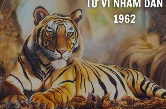 Tử vi trọn đời Nhâm Dần: Hé lộ vận mệnh, công danh và gia đạo chi tiết Tử vi trọn đời Nhâm Dần: Hé lộ vận mệnh, công danh và gia đạo chi tiết