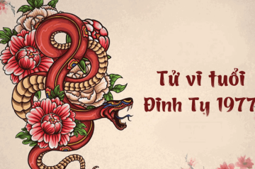 Tử vi trọn đời Đinh Tỵ 1977 – Những năm đại cát, đại hạn và bước ngoặt cuộc đời Tử vi trọn đời Đinh Tỵ 1977 – Những năm đại cát, đại hạn và bước ngoặt cuộc đời