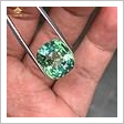 Đá Tourmaline xanh lục 11.96ct chiếu bung hình ảnh 1