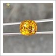 Đá Sapphire vàng 6.05ct chiếu bung toàn viên tiêu chuẩn 4c hình ảnh 3