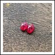 Đôi hoa tai Ruby huyết kính 3.25ct hình ảnh 6