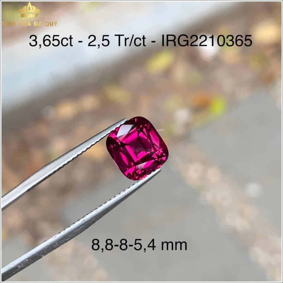 Viên Rhodolite Garnet chất lượng quốc tế 3,65ct – IR2210365 hình ảnh 2