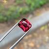 Rhodoite Garnet đỏ tiêu chuẩn quốc tế 3,15ct hình ảnh 5