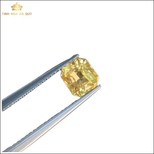 Viên Sapphire vàng tự nhiên 100% 1,65ct - IRYS 2210165