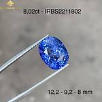 Viên Sapphire xanh lam đẹp long lanh 8,02ct – IRBS 2211802