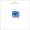 Aquamarine xanh dương IRAQ233304 hình 1