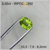 Đá Peridot 3.92 ct lửa đẹp thông số