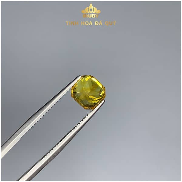 Đá Sapphire vàng đẹp tự nhiên 2.55ct -IRSY233255 hình ảnh 2