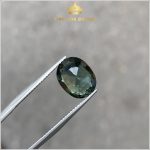 Viên Sapphire xanh lục sáng sạch tinh 4,64ct – IRSG 233464