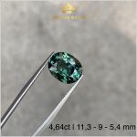 Viên Sapphire xanh lục sáng sạch tinh 4,64ct – IRSG 233464