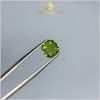 Đá Peridot xanh lá mạ 2,92ct – IRPD233292 hình ảnh