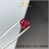 Đá Granet màu đỏ thuần cắt facet  2,50ct - IRGN23325 hình ảnh 2