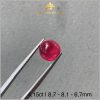 Viên Ruby màu đỏ huyết 4,15ct - IRRB 235415 hình ảnh