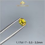 Viên Sapphire Bicolor hai màu 1,17ct – IRSP 234117