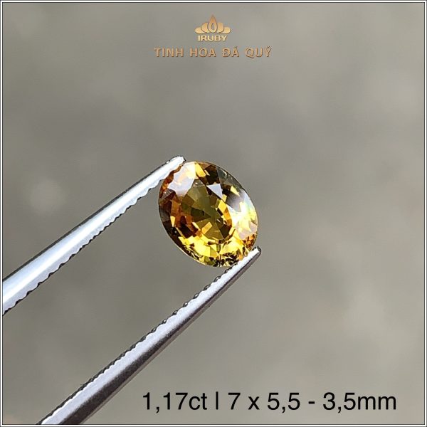 Viên Sapphire bicolor hai màu 1,17ct – IRSP 234117 hình ảnh 2