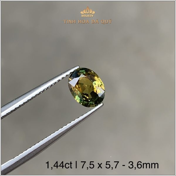 Viên Sapphire bicolor hai màu độc lạ 1,44ct – IRSP 234144 hình ảnh 2