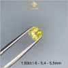 Viên Sapphire màu vàng chanh 1,63ct - IRSP 235163 hình ảnh