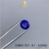 Viên đá Sapphire màu xanh lam hoàng gia 2,88ct - IRSP 235288 hình ảnh