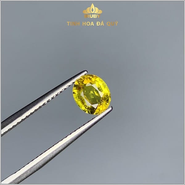 Đá Sapphire Bicolor 2 màu đẹp 1,05ct - IRSP 234105 hình ảnh 1